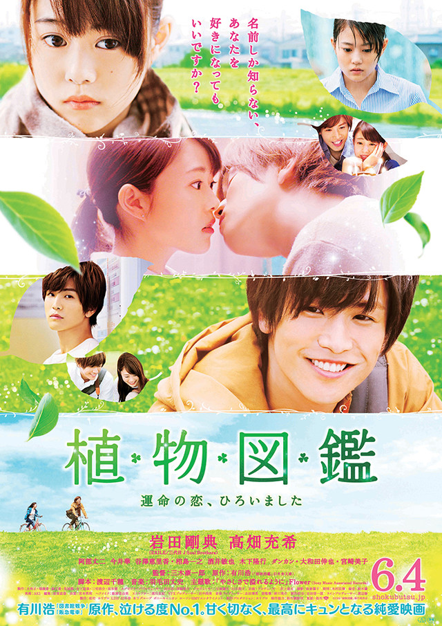 Shokubutsu Zukan - Evergreen Love 植物図鑑 Tình Yêu Định Mệnh Chợt Đến