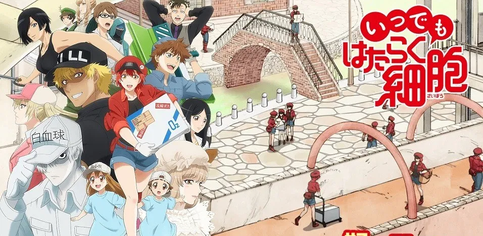 Xem phim Hataraku Saibou 2nd Season - Hataraku Saibou!!, Cells at Work! 2nd Season Vietsub