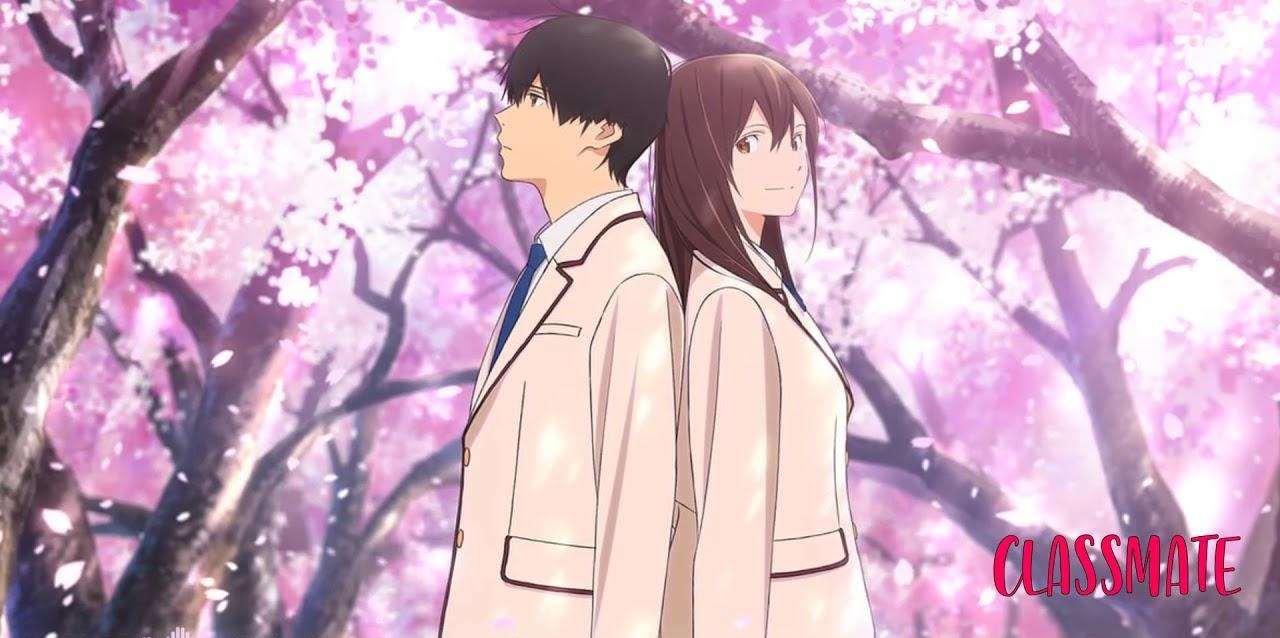 Xem phim Kimi no Suizou wo Tabetai (Movie) - I want to eat your pancreas,KimiSui, Let Me Eat Your Pancreas, Tớ muốn ăn tuỵ của cậu Vietsub