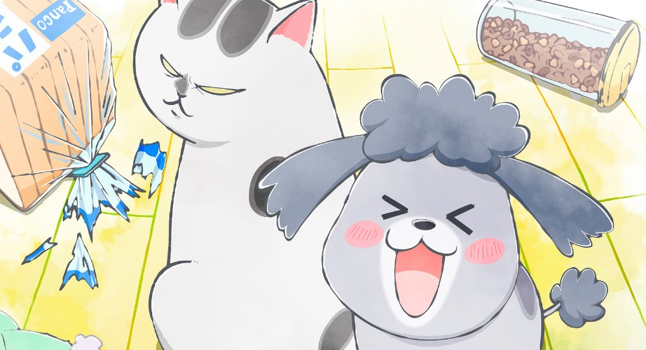 Xem phim Inu to Neko Docchi mo Katteru to Mainichi Tanoshii - With a Dog AND a Cat, Every Day is Fun Vietsub