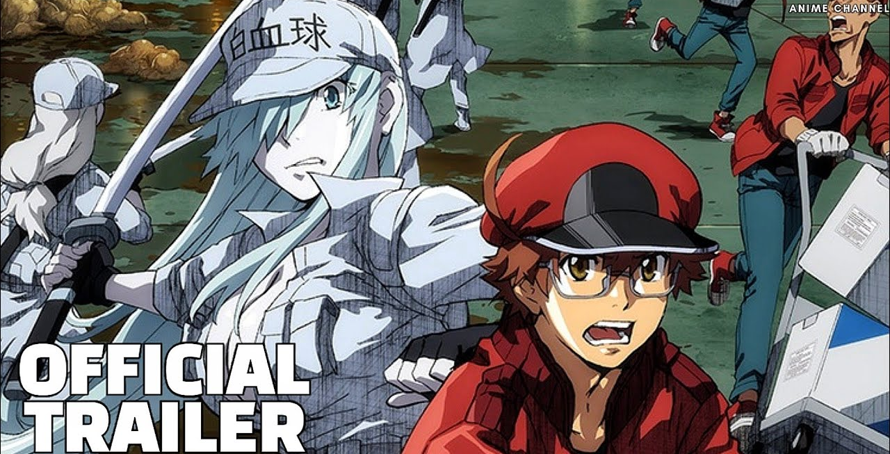 Xem phim Hataraku Saibou Black (TV) - Cells at Work! Code Black Vietsub