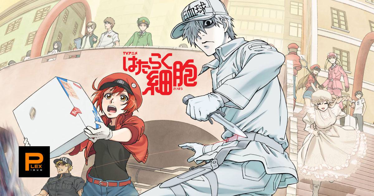 Xem phim Hataraku Saibou (TV) - Cells At Work Vietsub