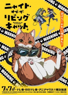 Nyaight of the Living Cat - Night of the Living Cat